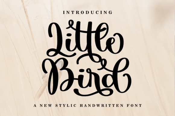 Little Bird: The Elegant Script Font for Wedding & Branding